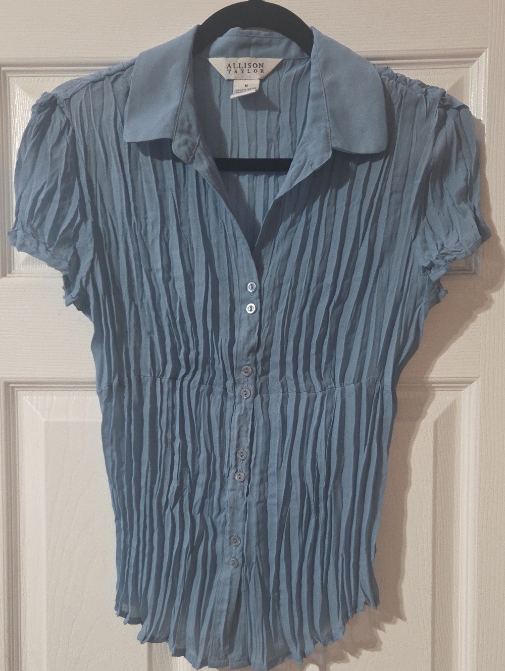 Allison Taylor Sky Blue Crinkle Button-Down Blouse